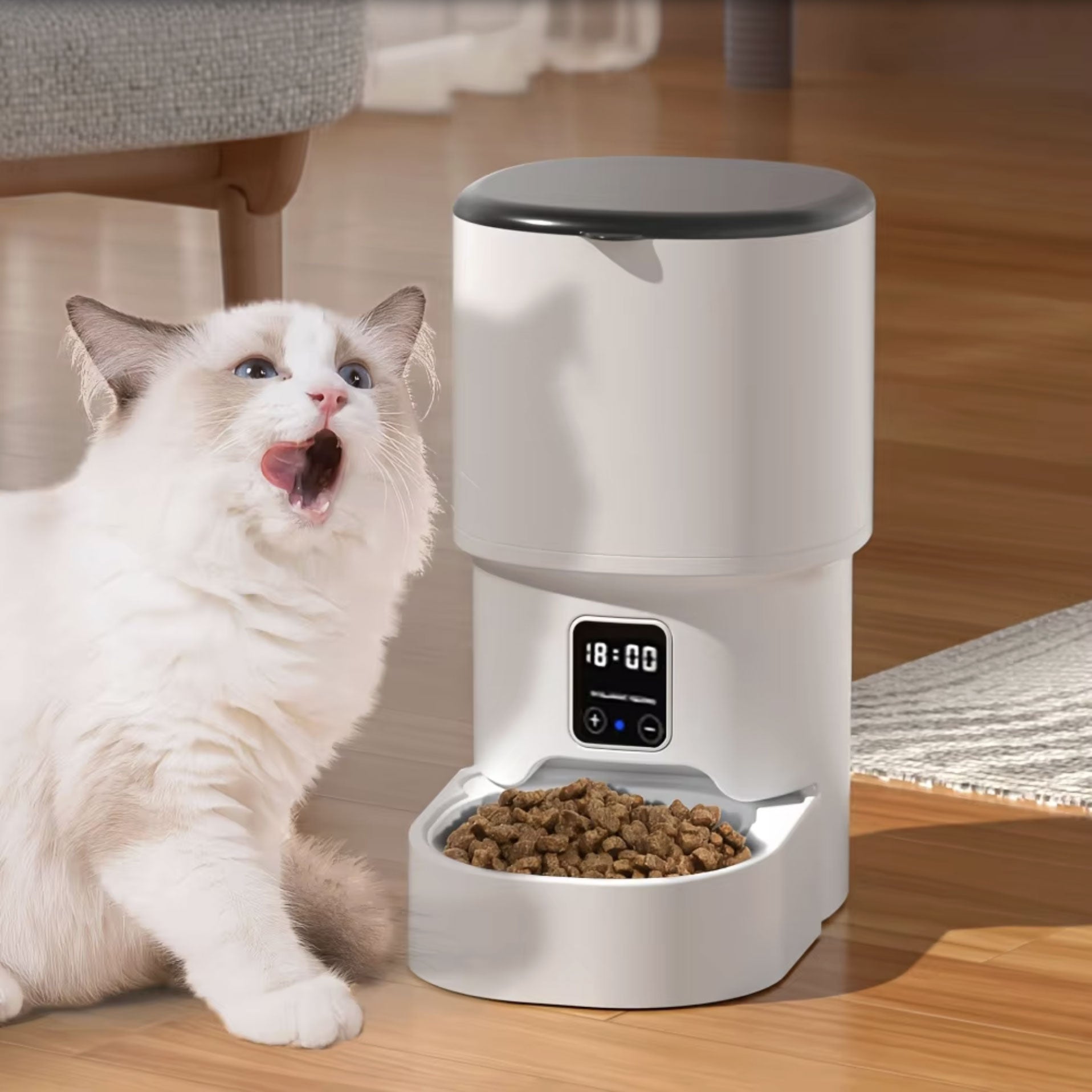 Distributeur de croquettes automatique pour chat/chien 4L avec contrôle à distance-4
