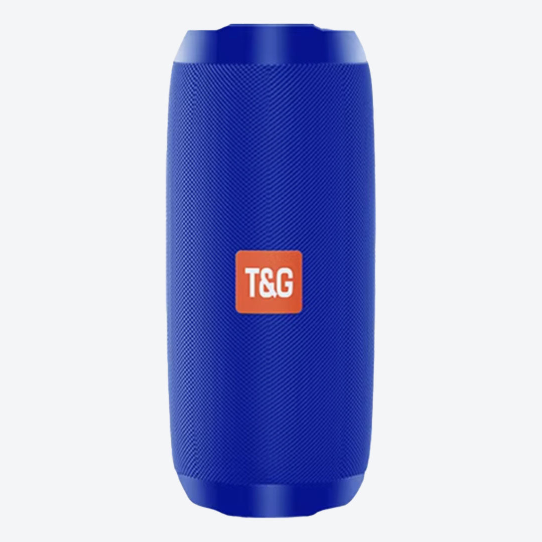 Enceinte portative-2