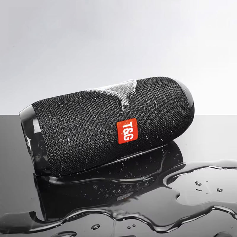 Enceinte portative-3